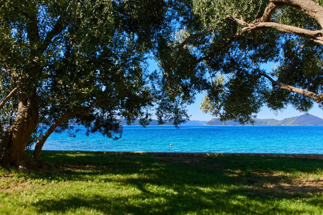 Hedera Estate, Villa Hedera XV Слано Екстер'єр фото